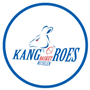 Kangoeroes Basket Mechelen