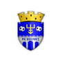 Edineţ