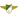 Moreirense