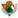 CP Cacereno (w)